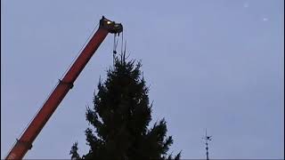 Es wird weihnachtlich Der Christbaum am Neuen Platz wird gerade aufgestellt 🌲🌲🌲 [upl. by Way957]