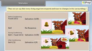 Stimulus  Control and Coordination  Science  Class 10th  iPrep [upl. by Witherspoon]