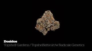 2016 Michigan Medical Cannabis Cup Indica Flower Entries [upl. by Ilac906]