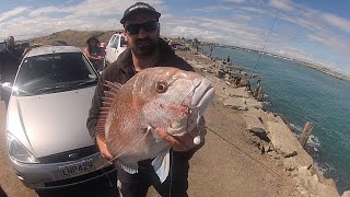 EPIC day Surfcasting at Wanganui Mole [upl. by Kirkwood]