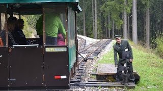 Oravu a Kysuce spojila unikátna lesná železnica [upl. by Sibell]