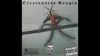 cuartaestirpeoficial CREATONOTOS GANGIS 2023 [upl. by Ahseikan]