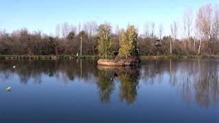 TAMNAVSKI DRAGULJI  Fazanerija i jezero Paljuvi [upl. by Hsekin]