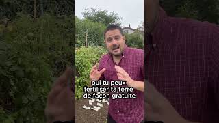 Astuces Simples pour Enrichir Votre Sol de Potager Naturellement [upl. by Domingo643]