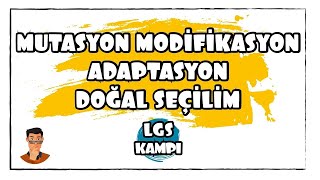 Mutasyon Modifikasyon Adaptasyon  LGS Kampı [upl. by Ydderf]