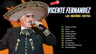 Vicente Fernandez Mix Exitos  Las Canciones Viejitas Pero Bonitas de VICENTE FERNANDEZ [upl. by Esnohpla]