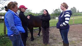 EAQ Introduction to Equine Assisted Learning [upl. by Yanaj]