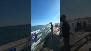 Malibu Beach Pier californiabeaches Malibu surf [upl. by Lucilla982]