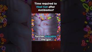 Healing the Gut after Antibiotics Time frame guthealing guthealth [upl. by Letnahc58]