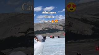 Athabasca Glacier  Canada 🇨🇦 😍😍athabascaglaciercanadacanadaglacier ytshortsathabascafalls [upl. by Eimaral631]