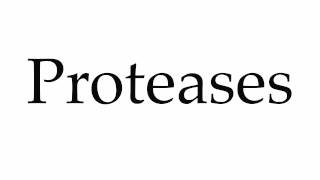 How to Pronounce Proteases [upl. by Bonar]