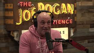 Joe Rogan Experience 1752  Tim Dillon [upl. by Arratal944]