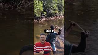 Física da pesca shorts Física [upl. by Seiden]