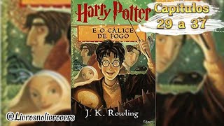 Harry Potter e o Cálice de Fogo  audiobook 33 [upl. by Hannon]