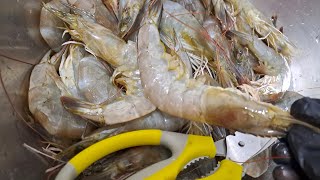 Cleaning amp Deveining Shrimp wow cuttingtutorial simpletipsAling tindera vlogs [upl. by Aiyram]