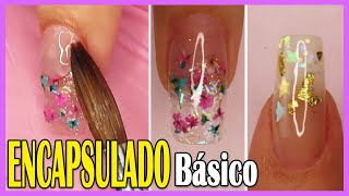 0621 ENCAPSULADO BÁSICO en Uñas Acrílicas para PRINCIPIANTES 💗 Curso GRATIS Uñas Acrílicas [upl. by Keviv540]