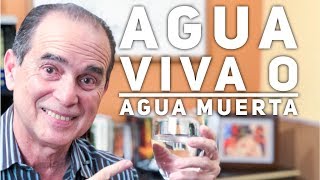 Episodio 1383 Agua Viva o Agua Muerta [upl. by Hyatt]