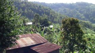 Valley Outside Ruhengeri [upl. by Kary]