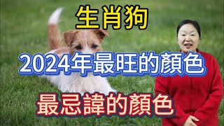 生肖狗！2024年最旺的顏色！屬狗人龍年最忌諱的顏色！選對顏色能招來好運！錢財滾滾來！一整年都順風順水！平安吉祥！ [upl. by Nappie]