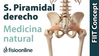 Síndrome del piramidal derecho  Visión desde la fisioterapia y la medicina natural [upl. by Ydaf]