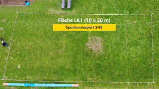 Spürhundesport  Flächensuche LK1 [upl. by Atekihs]