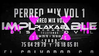 Perreo Mix Vol1 ✓Dj Viscarra Innovando Con estilo [upl. by Magocsi]