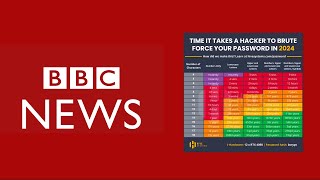 Hive Systems Feature on BBC [upl. by Annaierb]