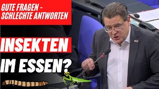 Insekten im Essen Gute Fragen  schlechte Antworten [upl. by Oremor513]