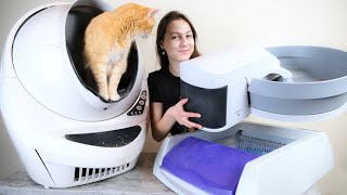 5 Best Automatic SelfCleaning Litter Boxes We Tested Them All [upl. by Placida]