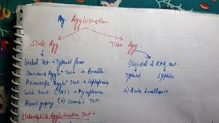 Agglutination Reaction Microbiology [upl. by Gayl]