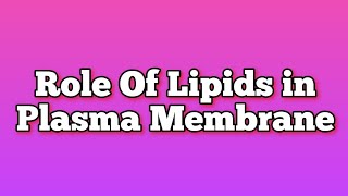 Role of Lipids in Plasma Membrane  Lipids  Phospholipids  Cholesterol  Cell Membrane  Cytology [upl. by Chally]