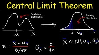 Central Limit Theorem  Sampling Distribution of Sample Means  Stats amp Probability [upl. by Cornie]