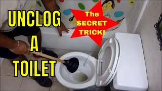 HOW TO UNCLOG A TOILET with a PLUNGER How to Use a Plunger Like a Champ [upl. by Leinaj]