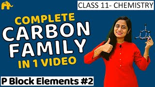 p block elements Class 11  Carbon family CBSE NCERT NEET JEE  One Shot Hindi [upl. by Salita493]