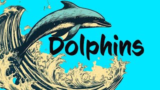 17 Dolphin FACTS to know 🐬 Animals for Kids [upl. by Bengt683]