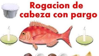 Quien hace la Rogación de Cabeza con Pargo el Obà el Babalawo o los dos [upl. by Kalagher]