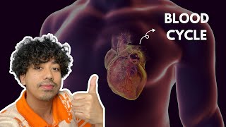 Cardiac Cycle Explained  Board Exam [upl. by Plossl537]