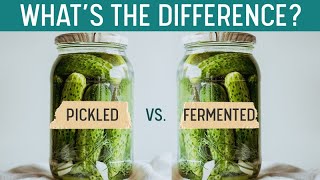 PICKLING vs FERMENTING  Whats the Difference Quick Grocery Store ID [upl. by Dray693]