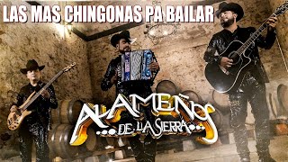 Los Alameños de La Sierra Mega Mix  Puras Cumbias Sierreñas Pa Bailar  Norteñas Mix [upl. by Simson263]