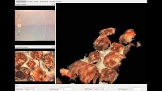 Micro AUV Online 3D Reconstruction using Stereo Vision [upl. by Howzell]