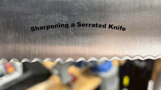 Sharpening a Serrated Knife on Your 1x30 or Work Sharp Ken Onion Elite [upl. by Laehctim486]