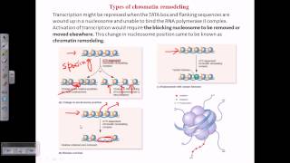 Types of chromatin remodeling [upl. by Yttel]