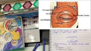 ENTROPION LECTURE OPHTHALMOLOGY DR SAIF ALI MEMON [upl. by Aydni]