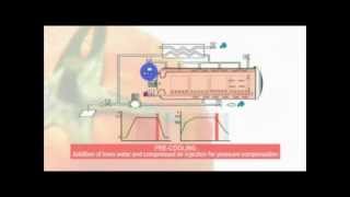 Lagarde autoclave Steam and Air process  The most efficient process retort in the world [upl. by Ninazan]