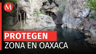 Habitantes del Istmo de Tehuantepec destinan mil 300 hectáreas a la conservación [upl. by Xaviera]