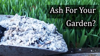 Ash For Your Garden  4 Ways To Apply It Properly [upl. by Alfonso]