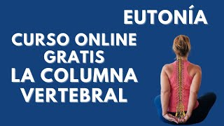 🔴Curso gratis 🟢La Columna Vertebral Eutonía [upl. by Rramahs537]