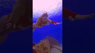 Freediver looks for shells🐚 freediver freediving oceansounds underwater mermaidlife asmr [upl. by Yeargain616]