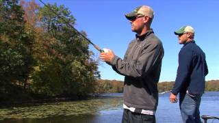 Hooked Up Bass How to catch fall shallowcover Largemouth Bass [upl. by Church]