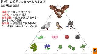 2分以内に分かる 生態系と食物連鎖 中学3年 理科 科学 教科書 要点 自然界での生物のはたらき② 2020年 令和2年 青森県 [upl. by Septima]